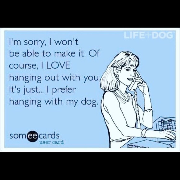 CLOSING TO TRAVEL! - Picture 7 of 9